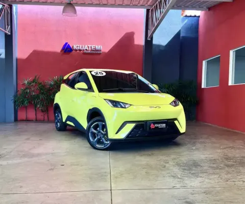 Byd Dolphin mini 2025 Gs ev