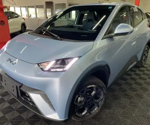BYD DOLPHIN Mini (Elétrico)