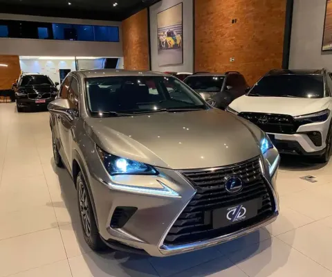 Lexus Nx 300h 2020 2.5 16v vvt-i hybrid dynamic cvt awd