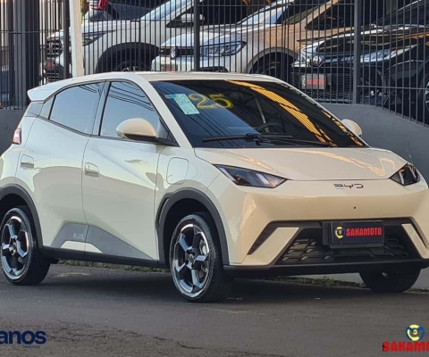 BYD DOLPHIN Mini (Elétrico)