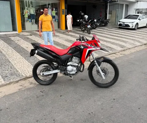 XRE 300 RALLY  2019 