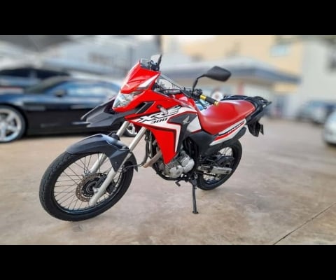 XRE 300 RALLY FLEX