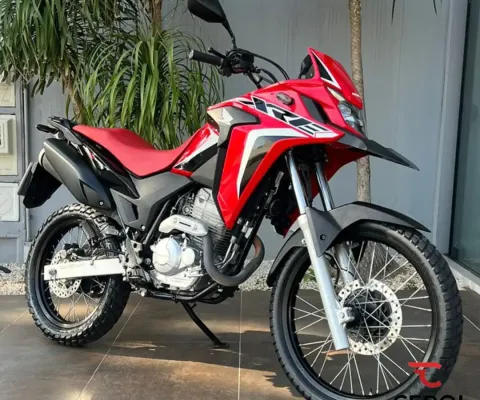 HONDA XRE 300 RALLY