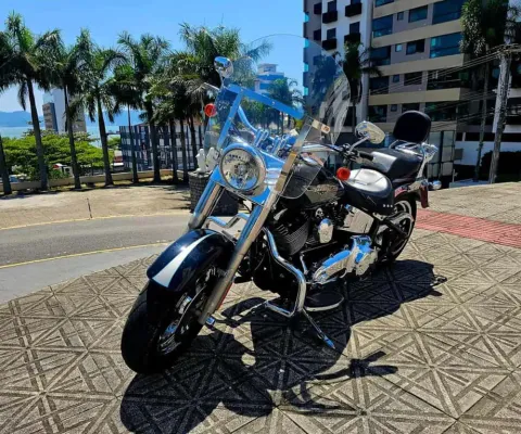 HARLEY-DAVIDSON FAT BOY FLSTF 2010