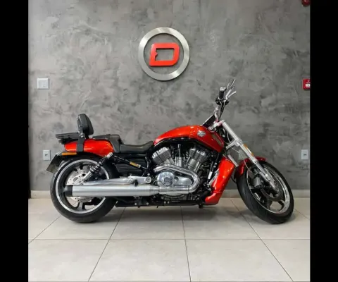 V-ROD 1250cc MUSCLE VRSCF