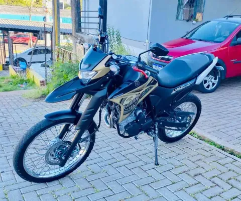 XTZ 250 LANDER 249cc/LANDER BLUEFLEX/ABS