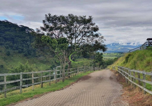 Passeio de 1 dia - FAZENDA NOVA GOKULA - Pindamonhangaba/SP - 25