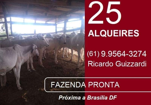 1º Leilão Virtual Fazenda Jardim 