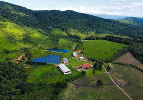 Fazenda Sitio Fazendinha Brinquedo Animais Caminhão Carreta