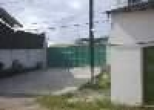 Barracão / Galpão / Depósito para alugar