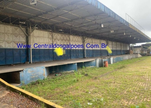 Barracão / Galpão / Depósito para alugar