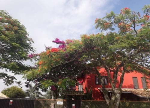 Casa com 3 quartos à venda