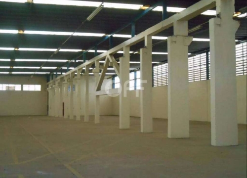 Barracão / Galpão / Depósito para alugar