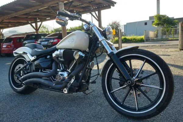 harley davidson stretched bolsas