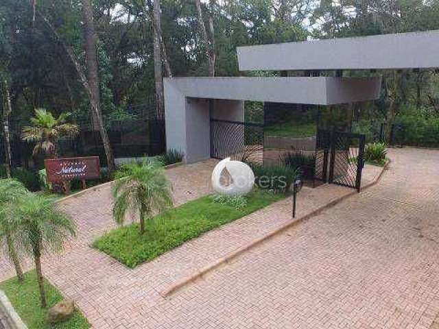 Terreno à venda, 704 m² por R$ 1.500.000,00 - Santa Felicidade - Curitiba/PR