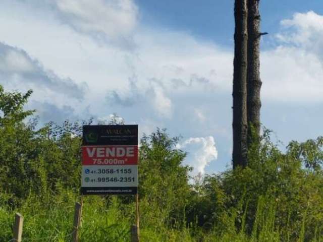 Terreno à venda em Campina do Taquaral, São José dos Pinhais  por R$ 2.600.000