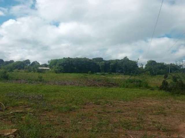 Terreno comercial à venda em Campina do Taquaral, São José dos Pinhais  por R$ 2.600.000