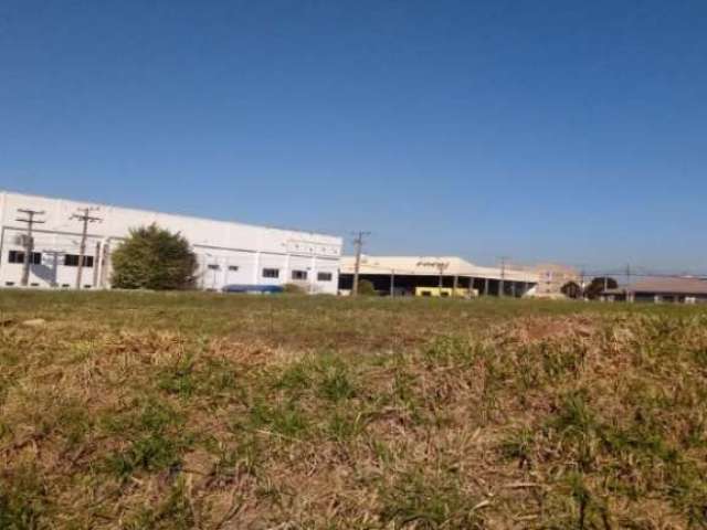 Terreno comercial para alugar no Cruzeiro, São José dos Pinhais  por R$ 11.000