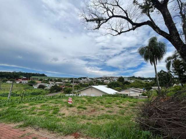 Terreno à venda na Rua Tocantins, 00, São Luiz, Pato Branco, 467 m2 por R$ 480.000