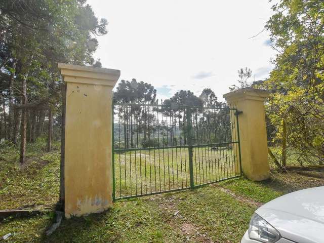 Chácara / sítio à venda na RUA FAGNER, Timbu, Campina Grande do Sul, 10000 m2 por R$ 1.780.000