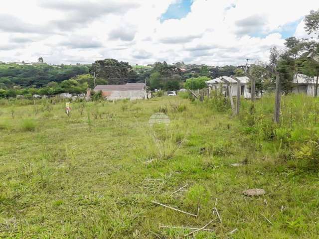 Terreno à venda na RUA SANTO ANTONIO DE PADUA, 425, Riozinho, Irati por R$ 50.000
