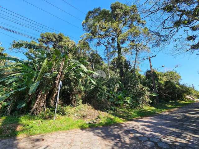 Terreno à venda na RUA NIKOLA CICILOVIC, Miringuava, São José dos Pinhais por R$ 120.000