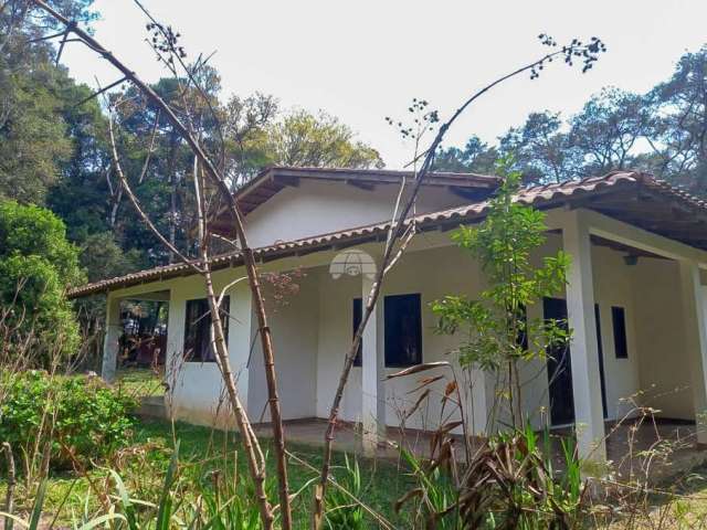 Chácara / sítio com 3 quartos à venda na RODOVIA BR 376, Morro Vermelho, Tijucas do Sul, 100 m2 por R$ 355.000