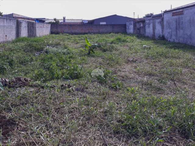 Terreno à venda na Rua Antônio Pereira Vale, 00014, Guatupê, São José dos Pinhais por R$ 250.000