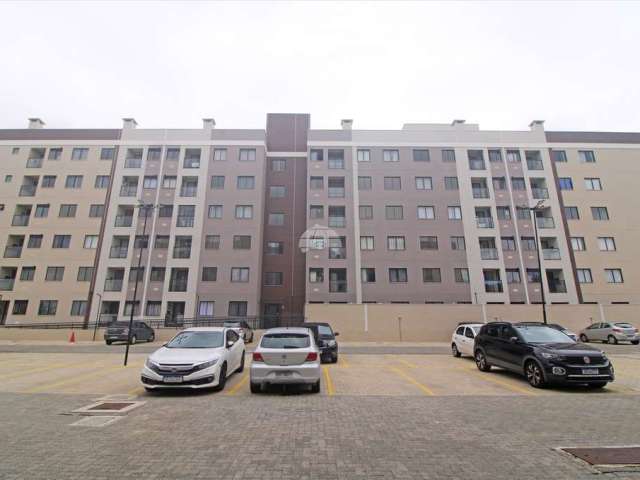 Apartamento com 2 quartos para alugar na RUA ELVIRA ZAGONEL KOZLOVSKI, 151, Braga, São José dos Pinhais, 46 m2 por R$ 1.200