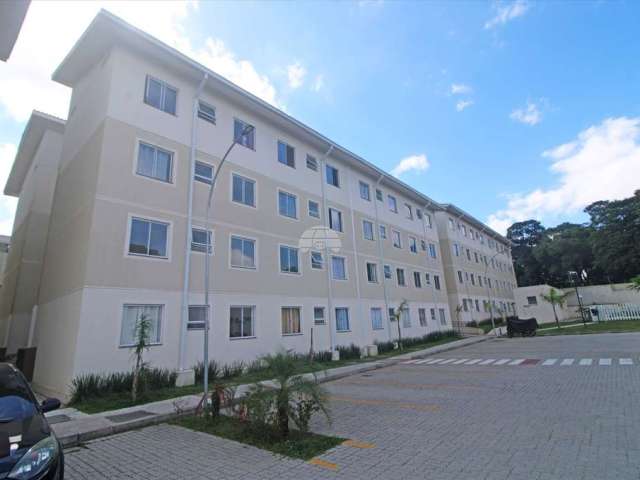 Apartamento com 2 quartos para alugar na Rua Ângelo Tozim, 200, Campo de Santana, Curitiba, 38 m2 por R$ 800