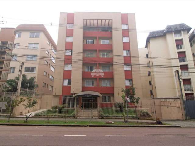 Terreno comercial para alugar na Rua Professor Dario Veloso, 866, Vila Izabel, Curitiba, 236 m2 por R$ 1.900