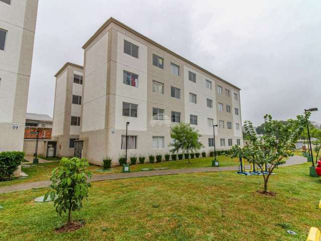 Apartamento com 2 quartos para alugar na Rua Clemente Itsyo Horikoshi, 169, Jardim Cláudia, Pinhais, 44 m2 por R$ 1.100