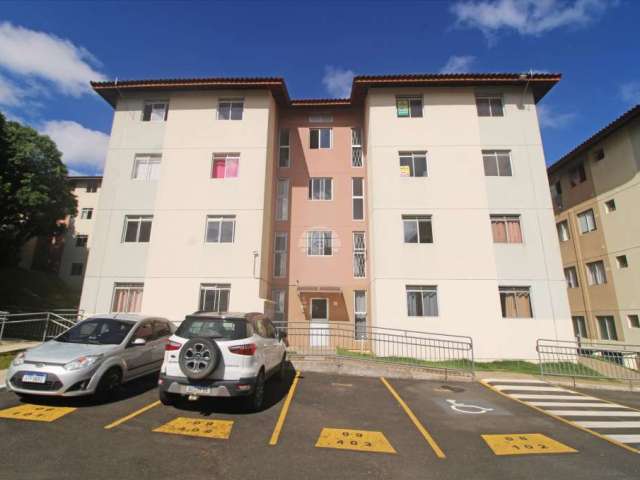 Apartamento com 2 quartos para alugar na Rua Lótus, 597, Campina da Barra, Araucária, 47 m2 por R$ 1.100
