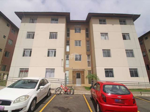 Apartamento com 2 quartos para alugar na Rua Lótus, 597, Campina da Barra, Araucária, 47 m2 por R$ 850