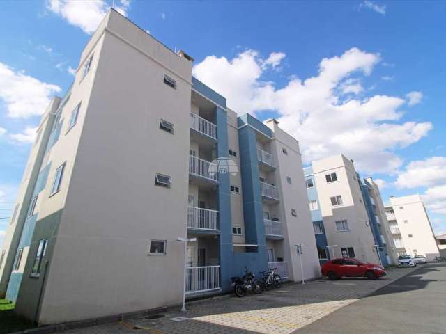 Apartamento com 2 quartos para alugar na Rua Cassiano Ricardo, 1515, Vargem Grande, Pinhais, 49 m2 por R$ 1.300
