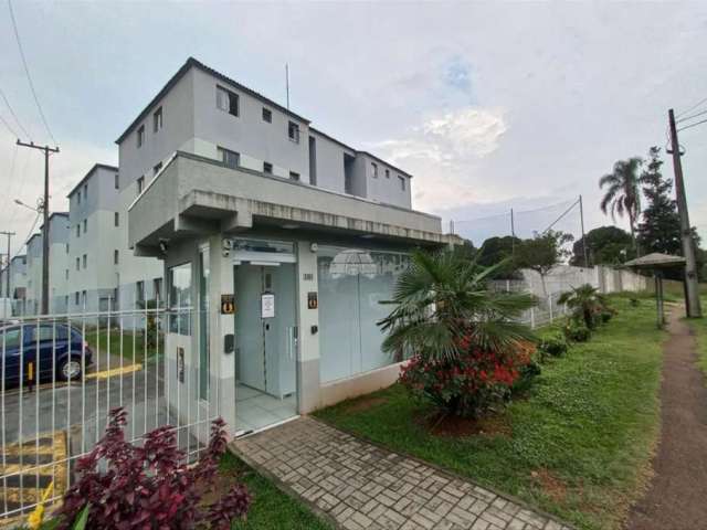 Apartamento com 2 quartos para alugar na Alameda Bom Pastor, 3361, Costeira, São José dos Pinhais, 42 m2 por R$ 900