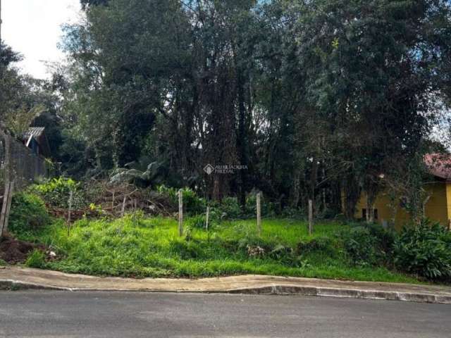 Terreno à venda na Maria Seibt, 35, São José, Canela, 515 m2 por R$ 390.000