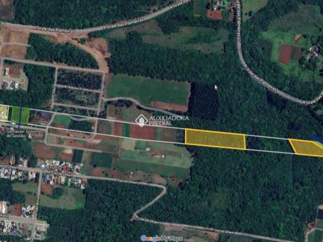 Terreno à venda na Guaiba, 224, Jardim do Alto, Ivoti, 63618 m2 por R$ 10.000.000