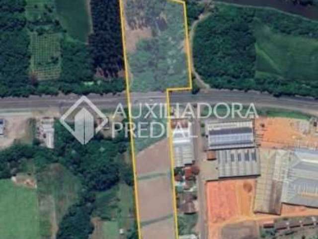 Terreno comercial à venda na Rs 122, 1, Zona Rural, Bom Princípio, 38286 m2 por R$ 1.700.000