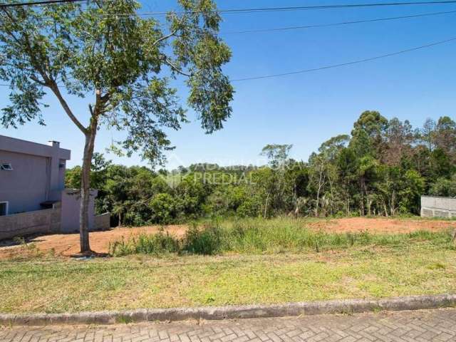 Terreno em condomínio fechado à venda na Avenida Senador Salgado Filho, 8500, Querência, Viamão, 338 m2 por R$ 319.000