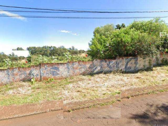 Terreno à venda, 12000 m² por R$ 2.500.000,00 - Cascavel Velho - Cascavel/PR