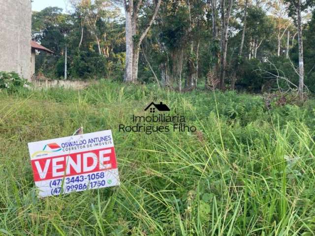 Terreno à venda no bairro Brandalize - Itapoá/SC