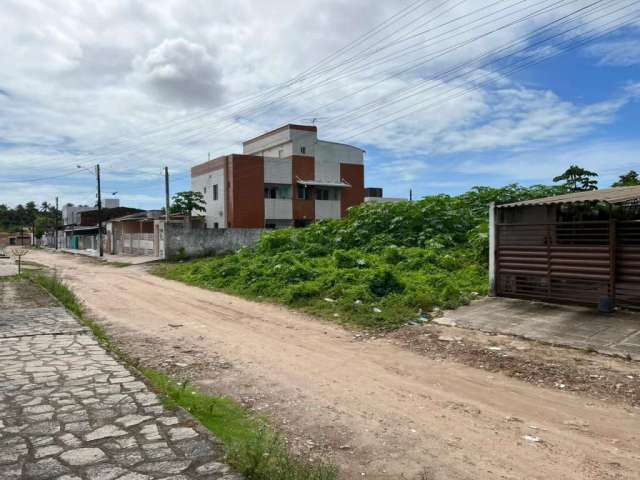 Terreno à venda, 240 m² por R$ 220.000 - Gramame - João Pessoa/PB