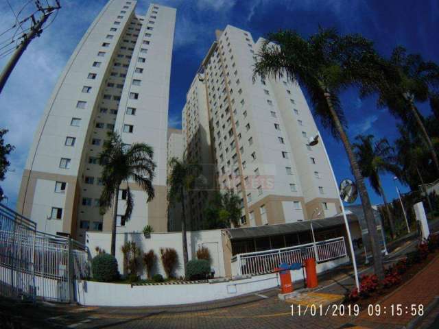 Apartamento com 3 dormitórios à venda, 56 m² por R$ 380.000,00 - Vila Santa Catarina - Americana/SP
