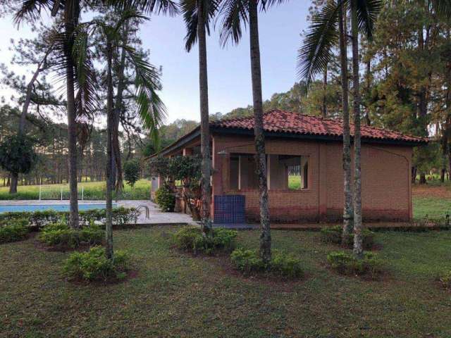 Fazenda com 3 dormitórios à venda, 1900000 m² por R$ 19.000.000,00 - Jardim Nossa Senhora das Graças - Paulistania/SP