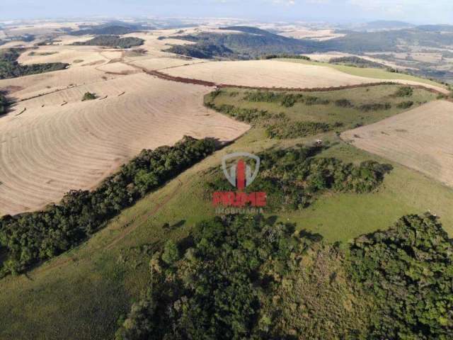 Fazenda à venda, com 100 Alqueires por R$ 25.000.000 - Bairro Rural - Maua da Serra/PR