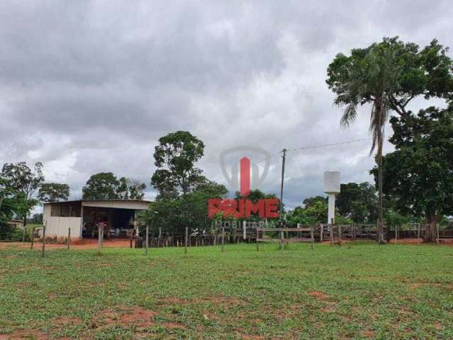 Fazenda à venda, 127 hectares por R$ 5.080.000 - Zona Rural - Campo Grande/MS