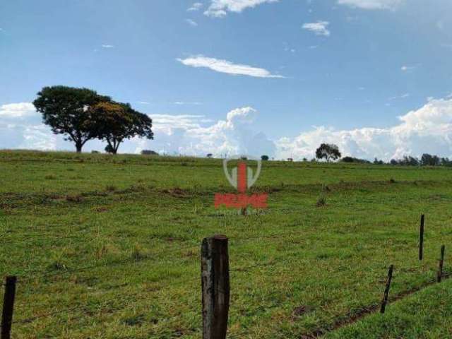 Fazenda à venda, 132,5 alqueires por R$ 21.120.000 - Rural - Santa Isabel do Ivai/PR