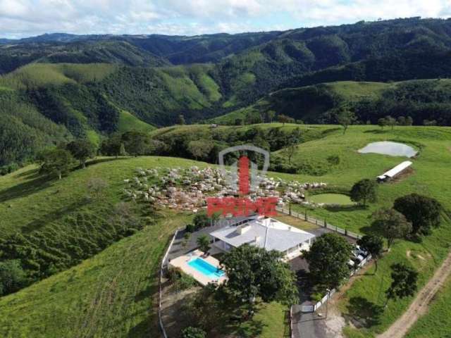 Fazenda à venda, 133 alqueires m² por R$ 17.000.000 - Rural - Reserva/PR