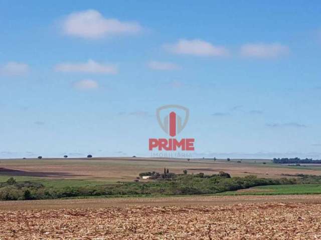 Fazenda 254 Alqueires R$ 115.000.000 - Bandeirantes/PR